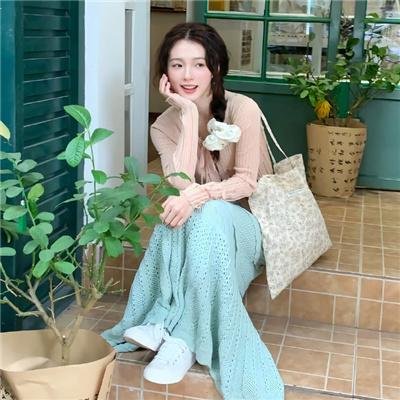 金刚斗恐龙