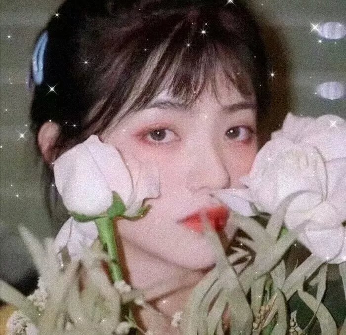 钢琴之森第二季
